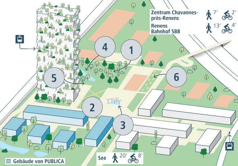 Übersichtsgrafik Chavannes